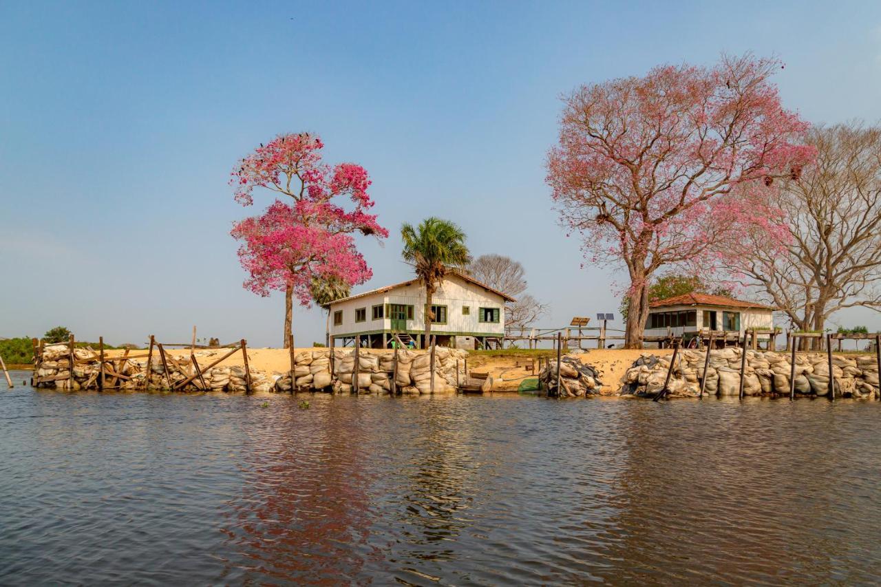 Pantanal Jungle Lodge Passo do Lontra Esterno foto